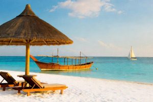 homepage image
